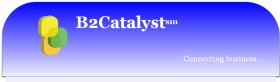 Website of B2Catalyst -- business directory service of vSC Web Group.